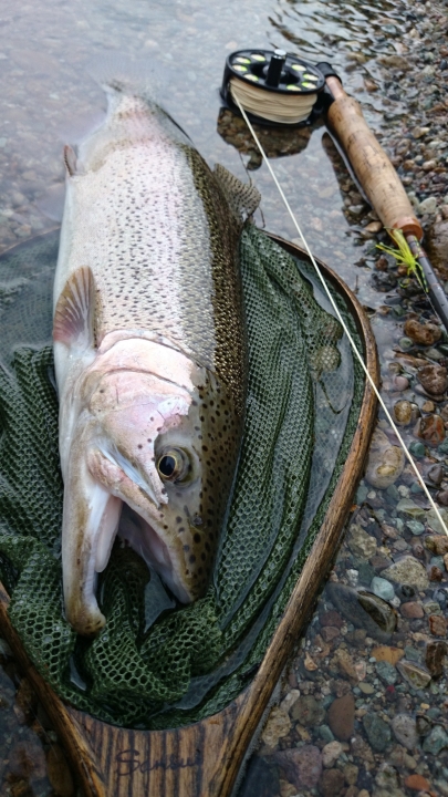 c0133133_17493731.jpg