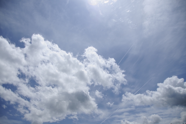 c0133133_1756188.jpg