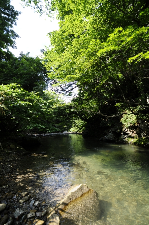 c0133133_18404763.jpg