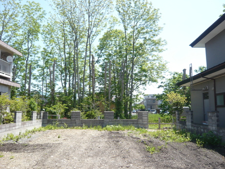 d0217833_943852.jpg