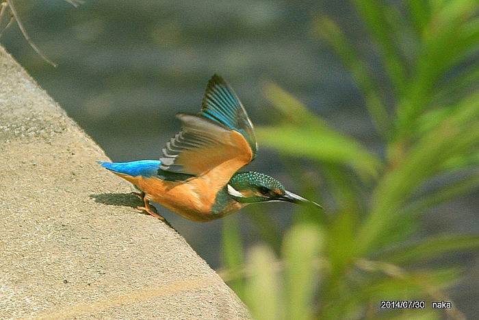 f0281533_04575553.jpg