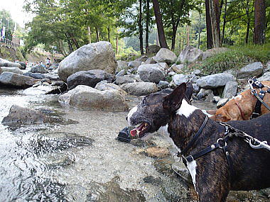 f0094843_13084918.jpg