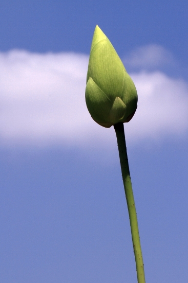 a0120949_512459.jpg