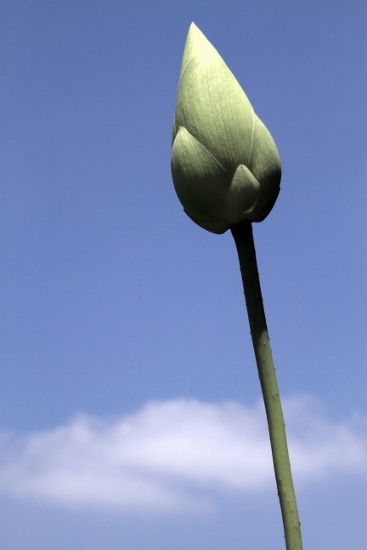 a0120949_5125980.jpg