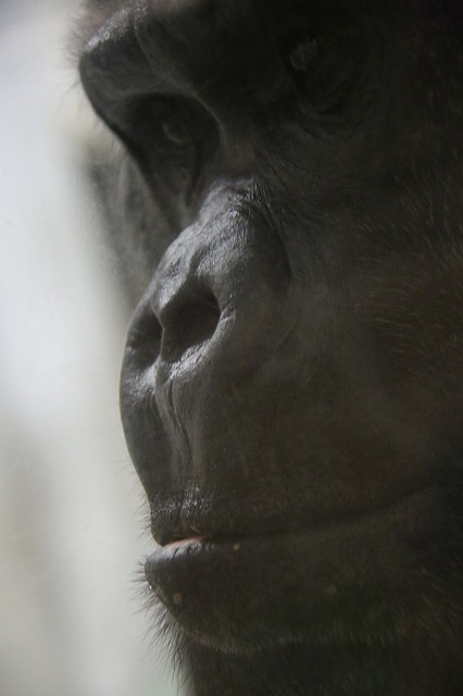 f0288049_862668.jpg