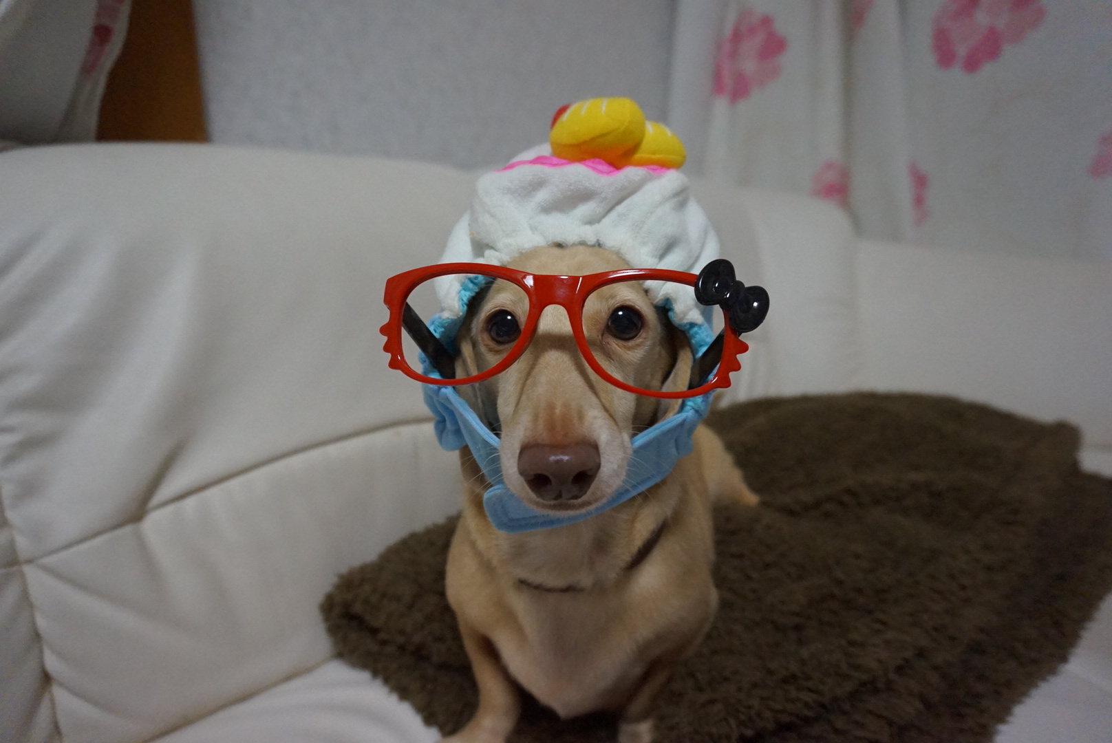 c0245751_21312799.jpeg