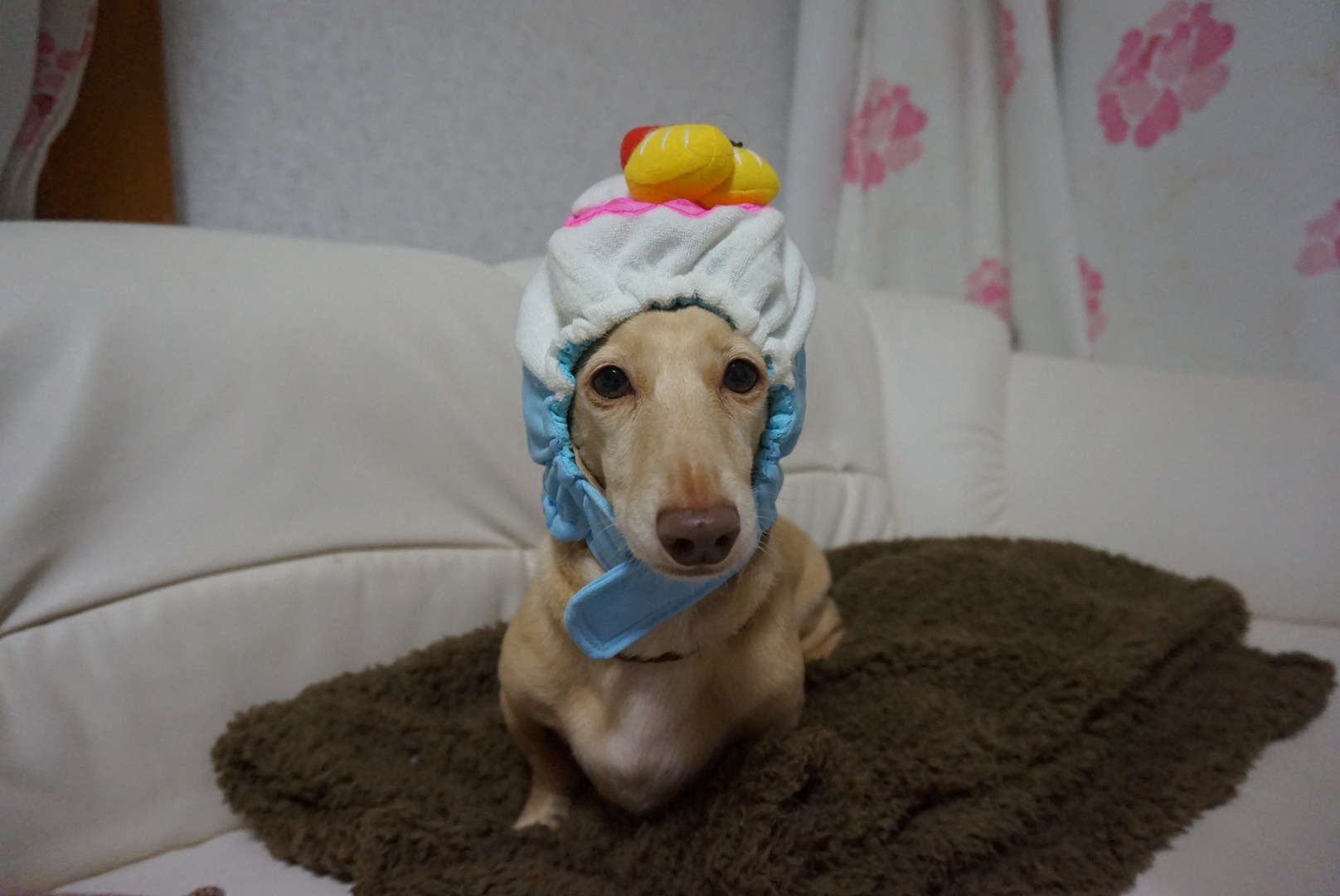 c0245751_21313218.jpeg