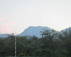 d0050155_943136.jpg