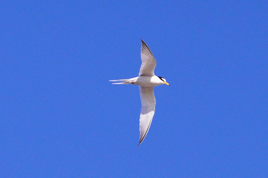 e0229455_00082549.jpg