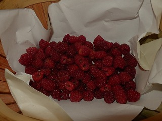 e0004756_21583017.jpg