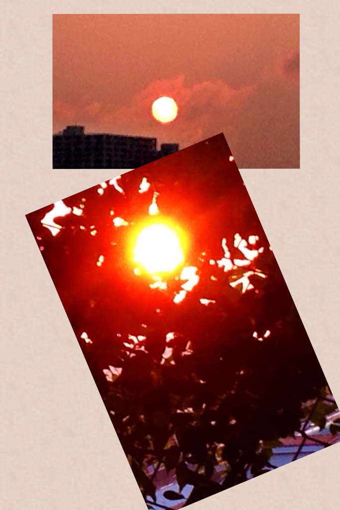 b0181457_5374311.jpg