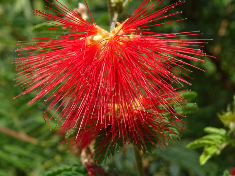 c0108460_16243966.jpg