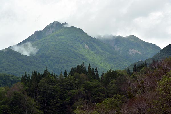 c0043361_9514270.jpg