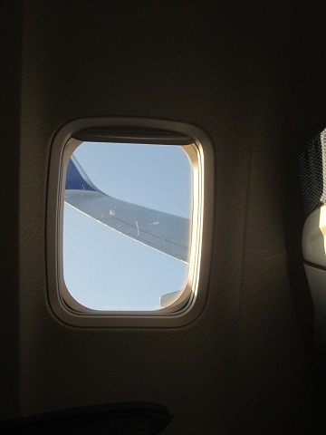 d0029363_1685165.jpg