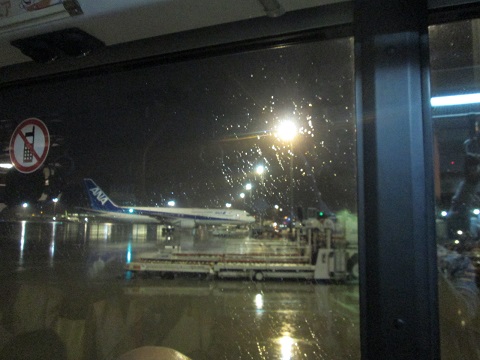 d0029363_169291.jpg
