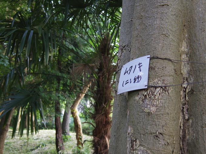a0152078_9151575.jpg