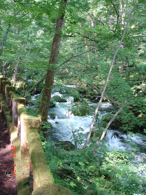 d0165378_1042241.jpg