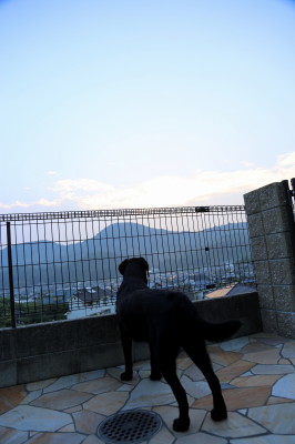 f0037378_7482462.jpg