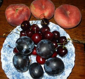 f0209878_21551464.jpg