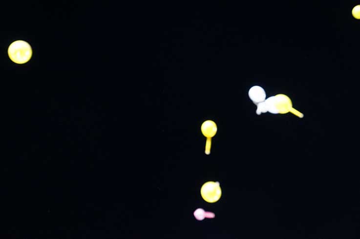 b0057679_9471581.jpg