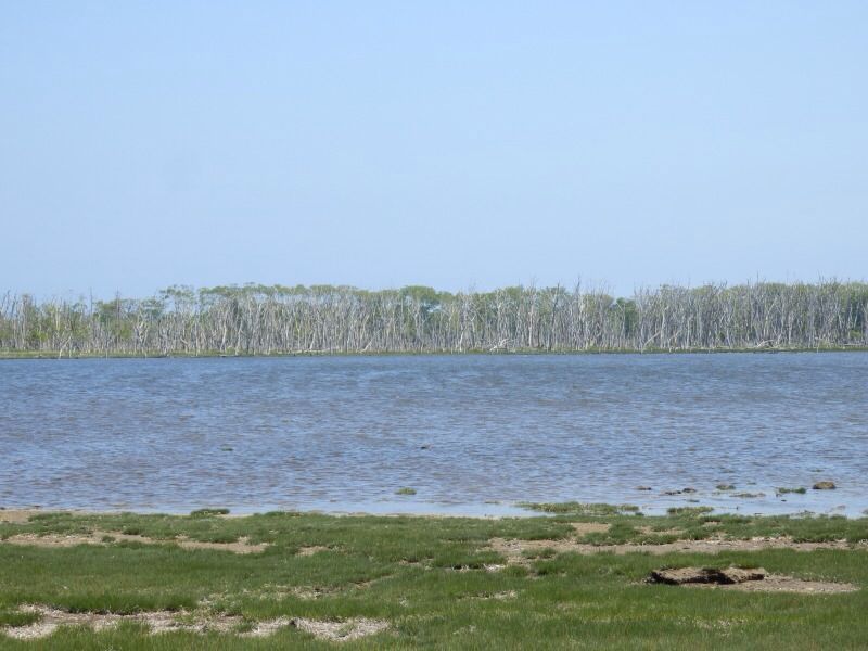 a0091680_16242451.jpg