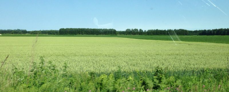 a0091680_16245480.jpg