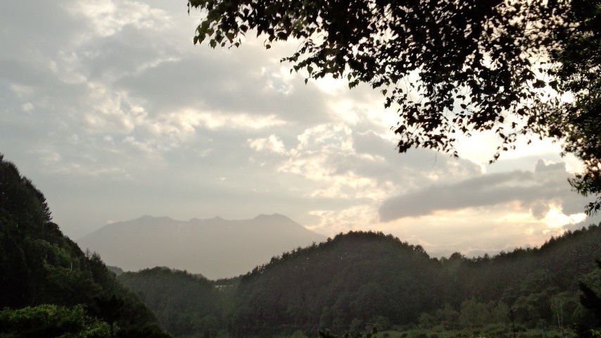 a0130586_20586.jpg