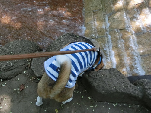 a0319693_2333456.jpg