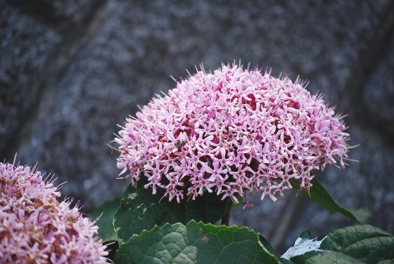 e0025300_22265470.jpg