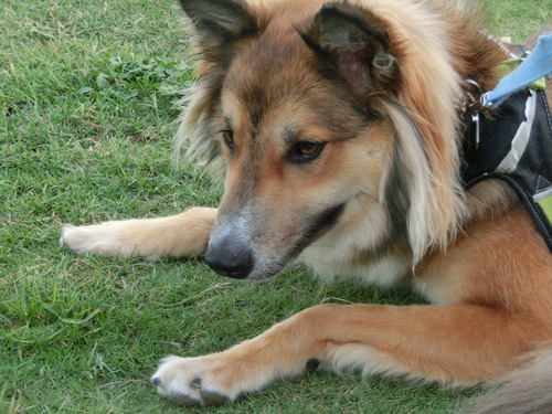 e0254813_0125177.jpg