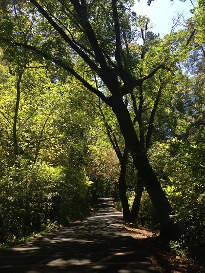 b0187322_02102131.jpg
