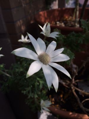 c0201427_2220510.jpg