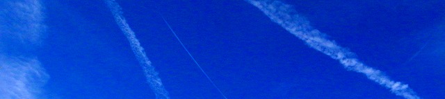 c0193528_5117100.jpg