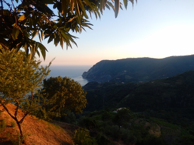 f0329429_15540431.jpg
