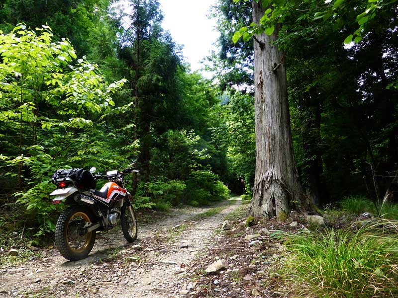 d0207730_14115649.jpg
