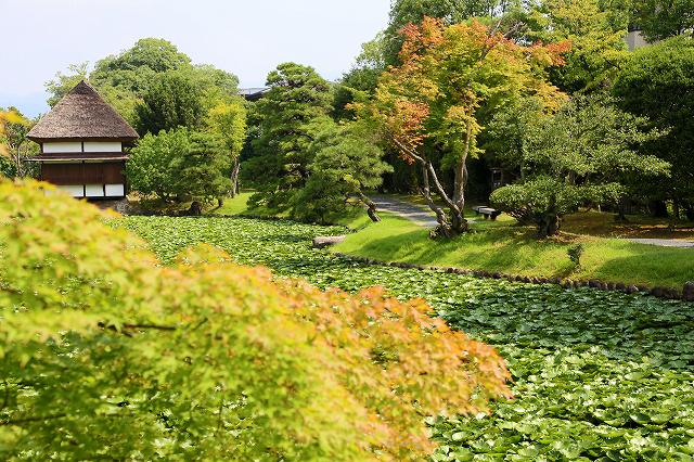 a0242438_19512660.jpg
