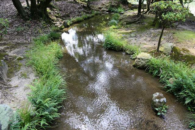 a0242438_195226.jpg
