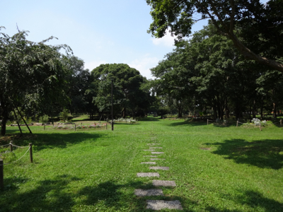 f0141840_23100835.jpg