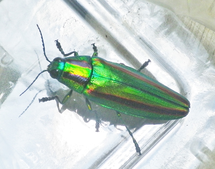 f0000148_14592751.jpg