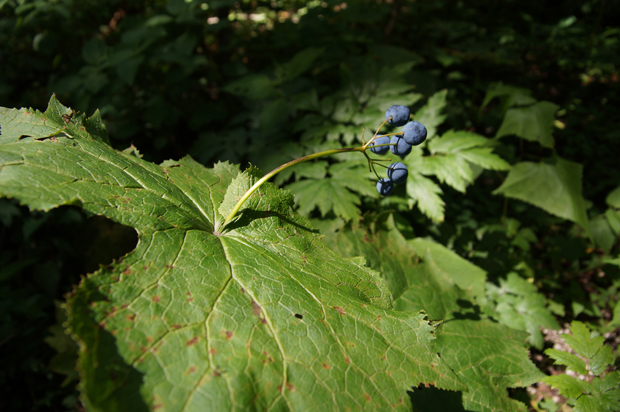 f0214649_11251311.jpg