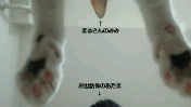 c0052756_23432655.jpg
