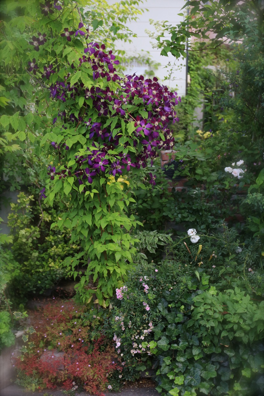 b0168859_1537121.jpg