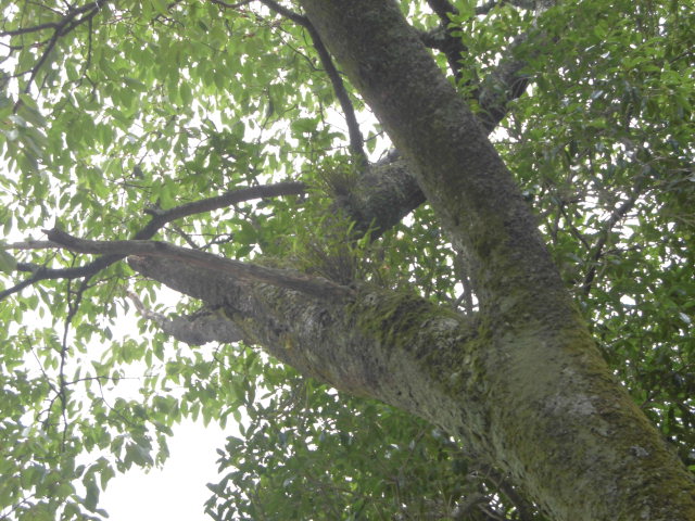 f0318967_14464037.jpg