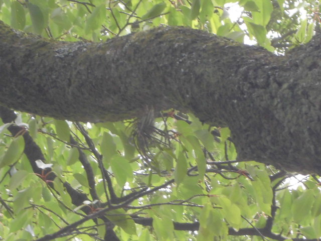 f0318967_14475636.jpg