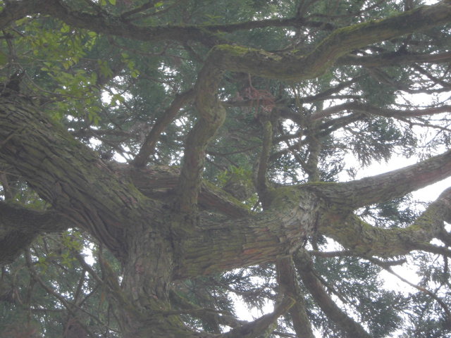 f0318967_14554107.jpg