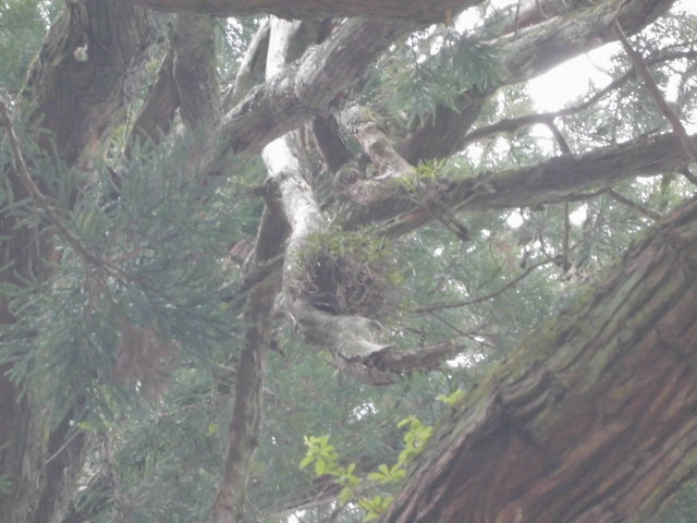 f0318967_14560535.jpg