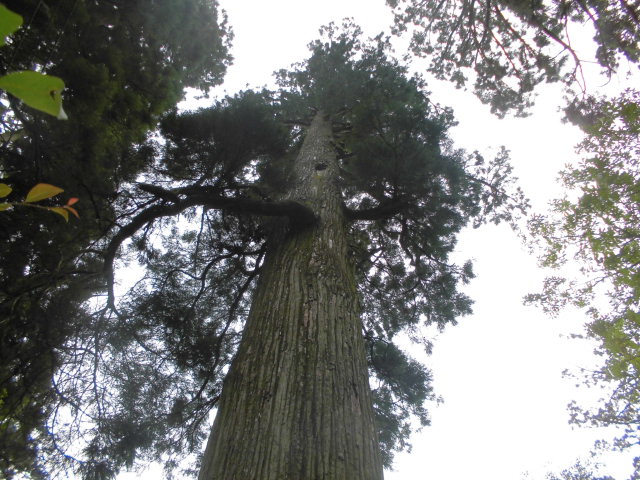 f0318967_15002440.jpg