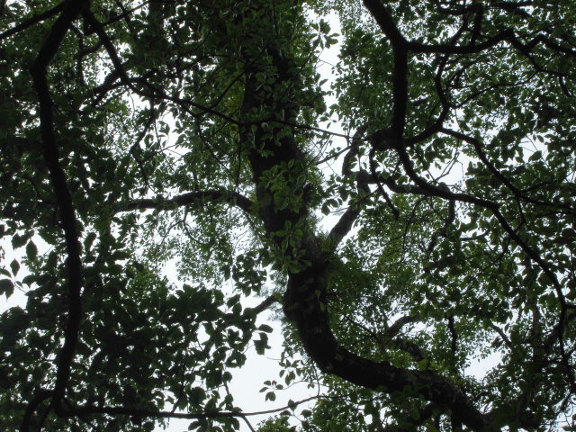 f0318967_15033087.jpg