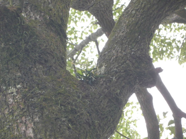 f0318967_15114308.jpg