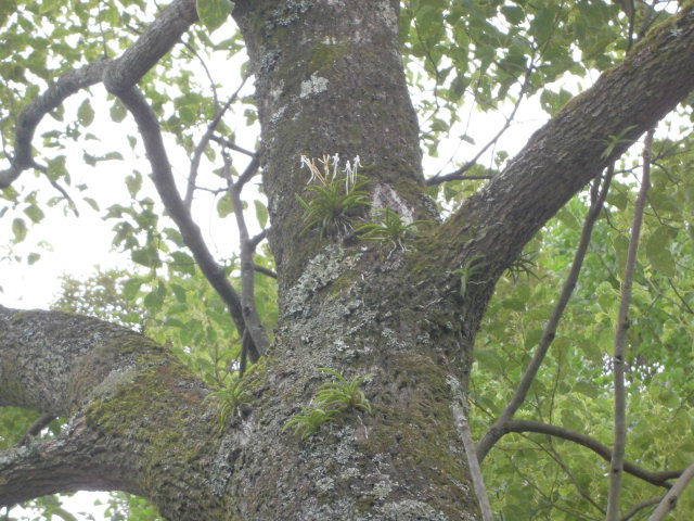 f0318967_15124643.jpg